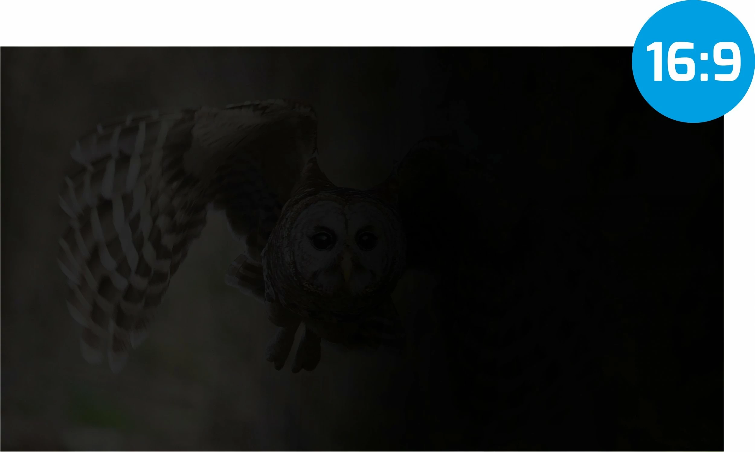 Filtër privatësie për ekran Natec OWL NFP-2118 27"