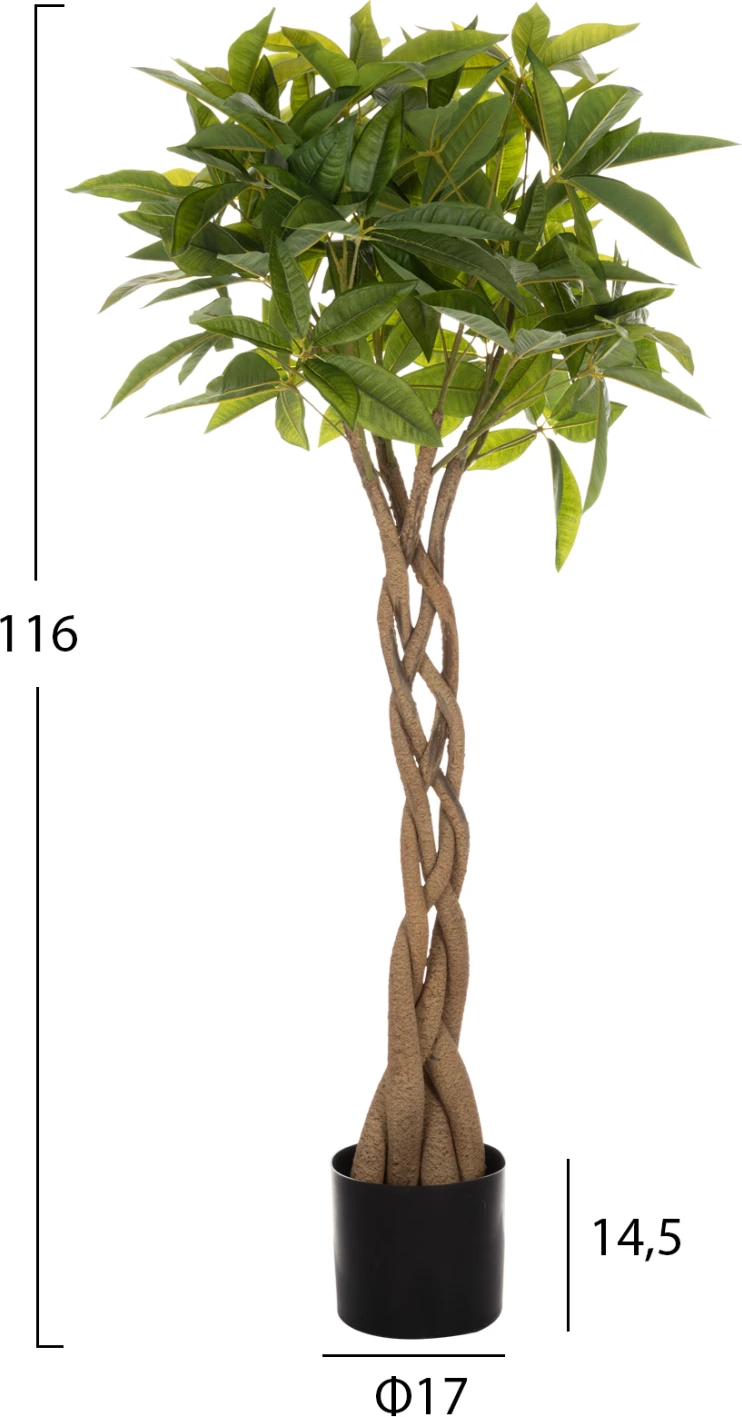 Bimë sintetike dekorative në vazo FH4001 Pachira Macrocarpa ("Pema e Parave") 116H cm