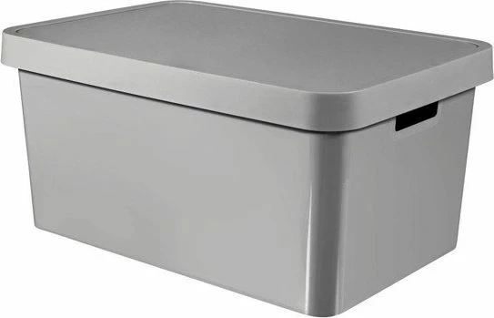 Kuti ruajtjeje Curver Infinity 45L 233941, gri