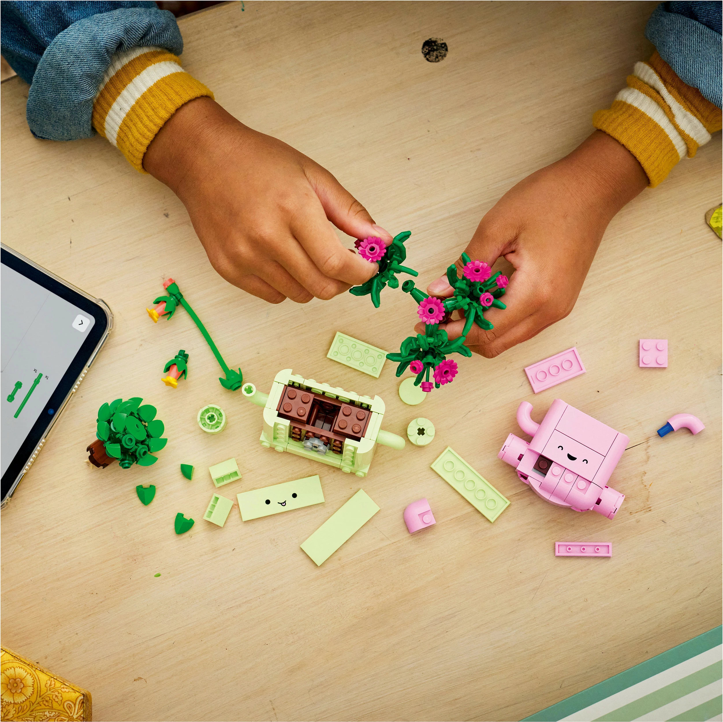 Set LEGO Botanicals Rocking Plants 11506, 253 copë, multikolor