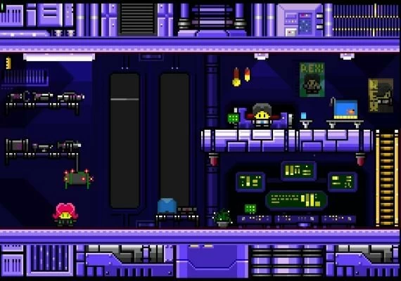 Rex Rocket EN Global