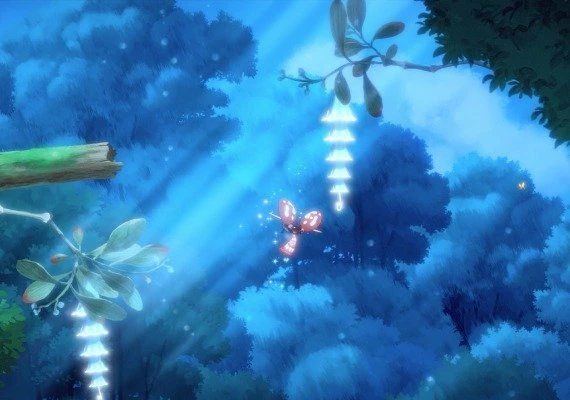 Hoa Global