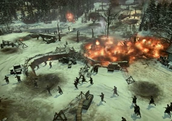 Company of Heroes 2 - Whale and Dolphin Pattern Pack EN/DE/FR/IT/PL/CS/RU/ES Global