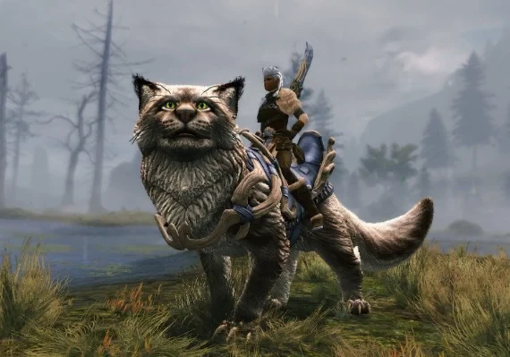 Guild Wars 2: Janthir Wilds DLC EN/DE/FR/ES Global