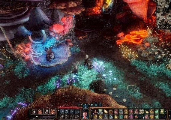 Baldur's Gate 3 Deluxe Edition EN Global