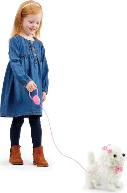 PPP WALK ALONG POODLE