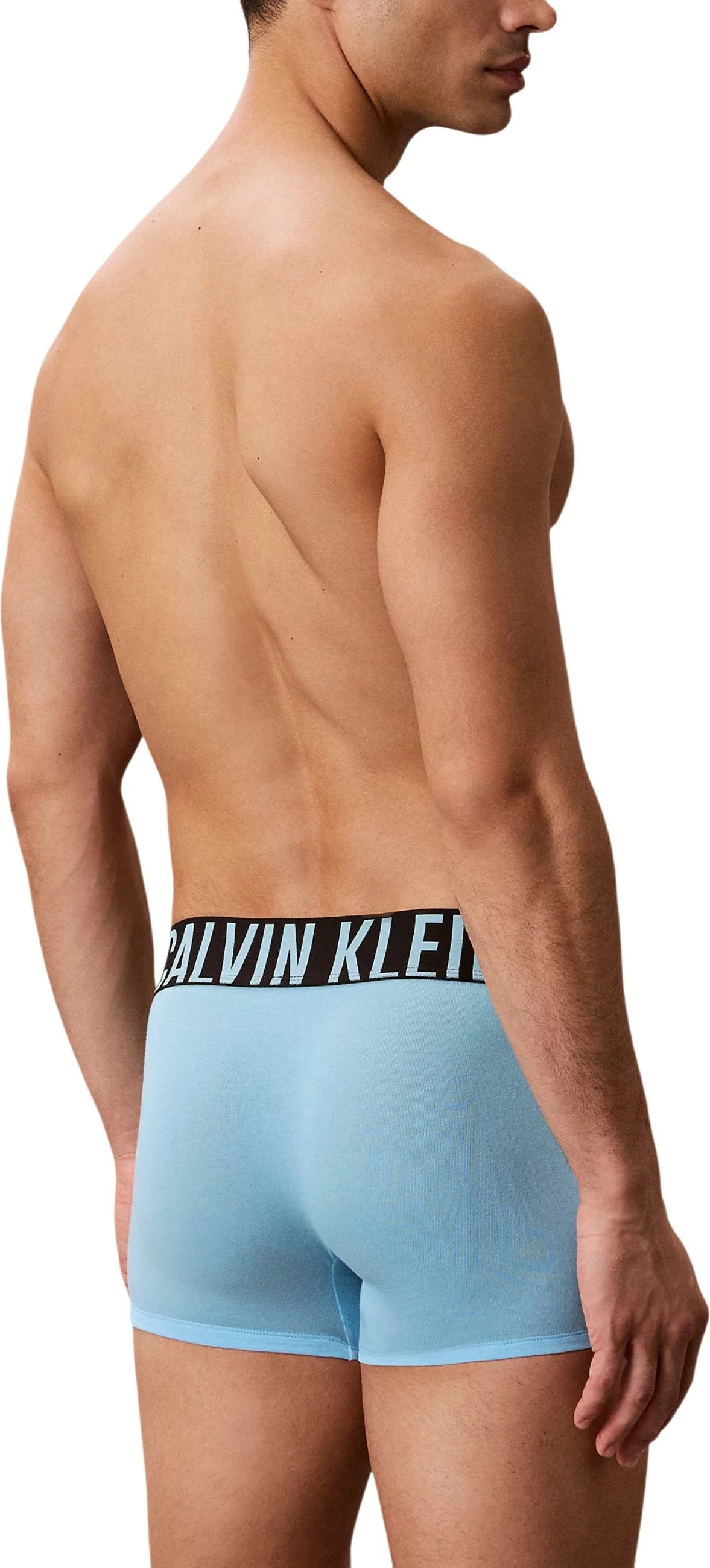 Të brendshme për meshkuj Calvin Klein Underwear TRUNK 3PK 000NB3608A, gri/zeza [Madhësia: L]