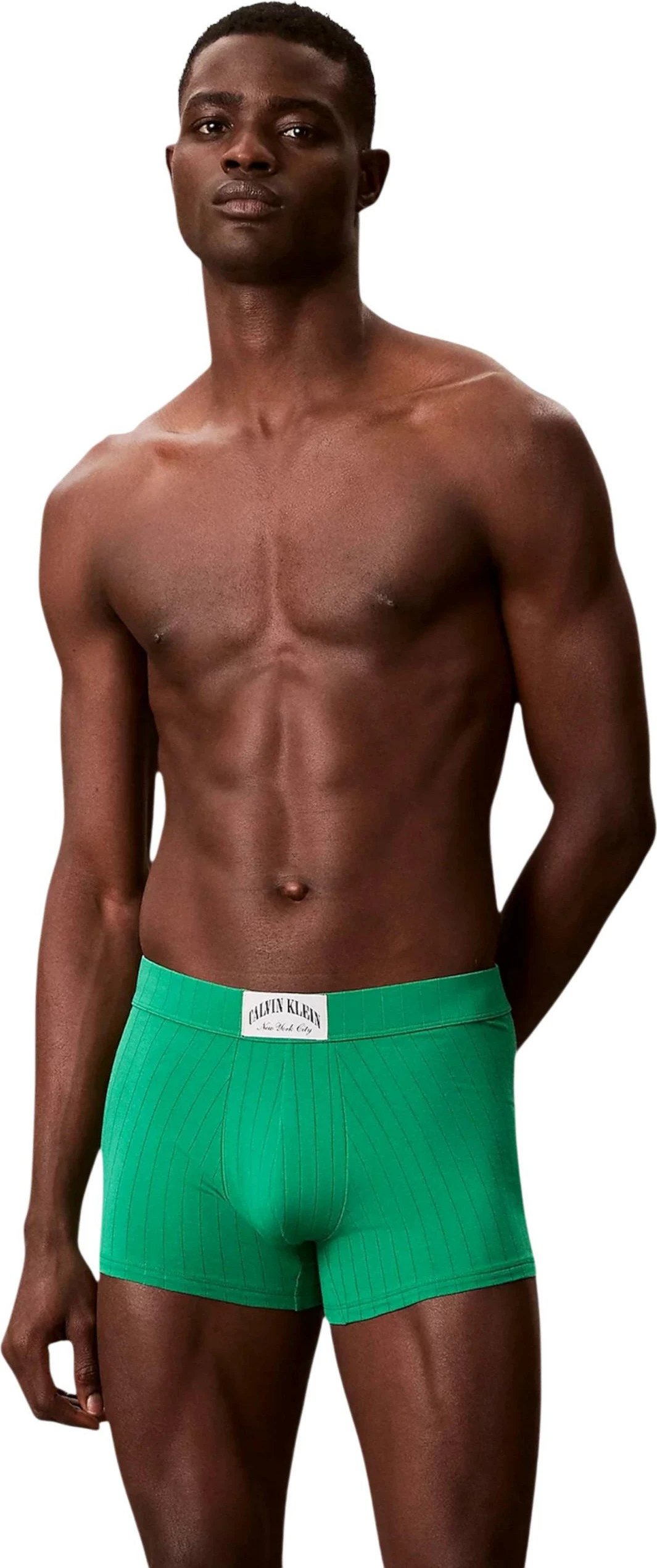 Të brendshme për meshkuj Calvin Klein Underwear TRUNK LV00NB4504, të gjelbra