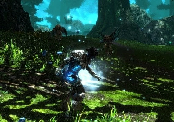 Kingdoms of Amalur: Re-Reckoning EN Global