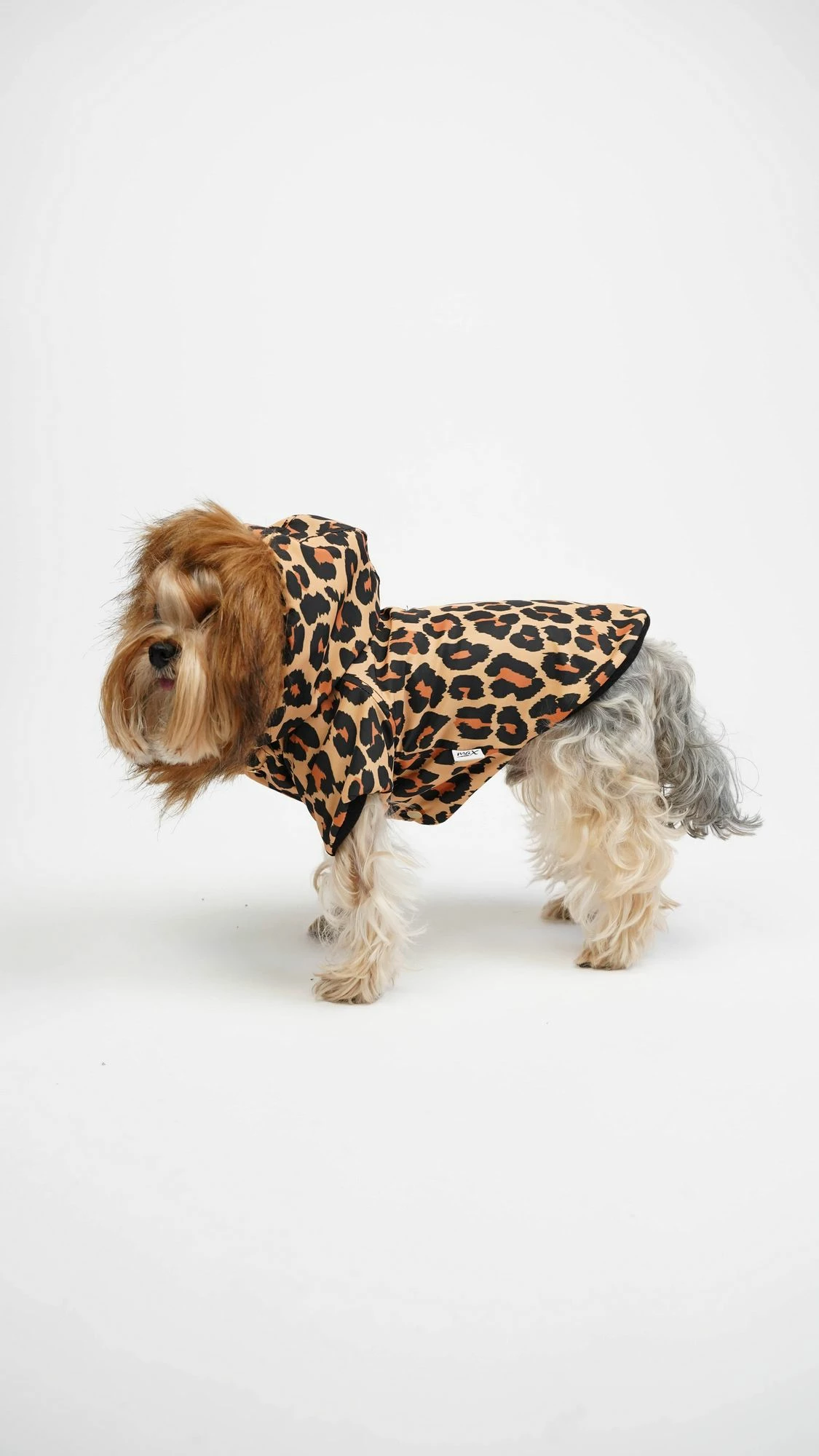 Hudi për qen, leopard, shumëngjyrëshe, XXL
