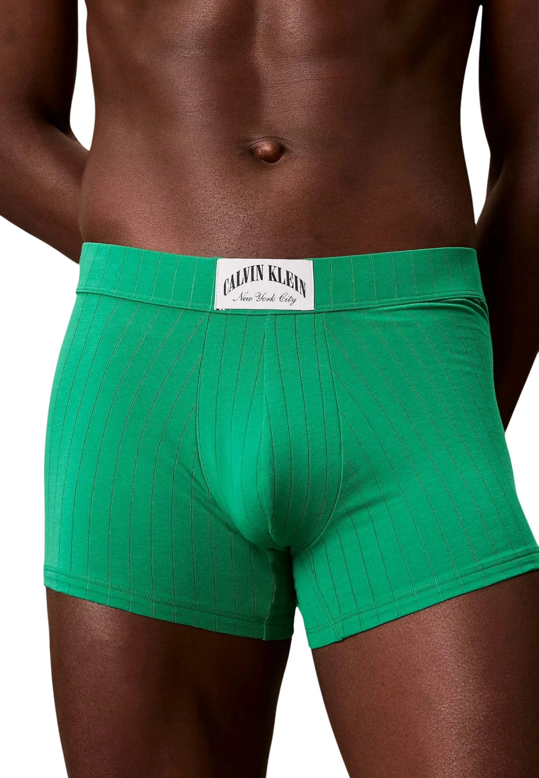 Të brendshme për meshkuj Calvin Klein Underwear TRUNK LV00NB4504, të gjelbra [Madhësia: XS]