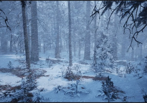 Evergreen: Mountain Life Simulator EN/DE/FR/IT/JA/RU/ZH/ES Global