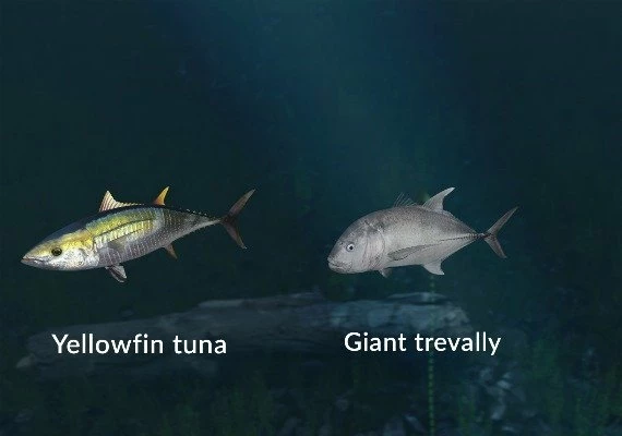 Ultimate Fishing Simulator - New Fish Species DLC Global