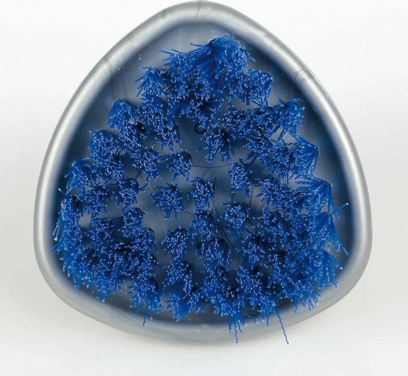 Brushe Pastruese Fellne &amp; Gome