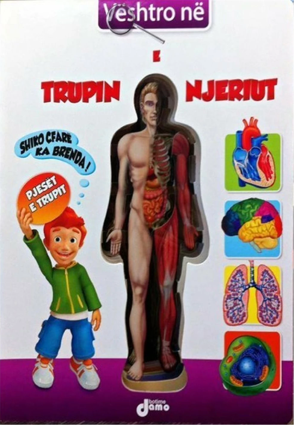 Veshtro Ne Trupin E Njeriut