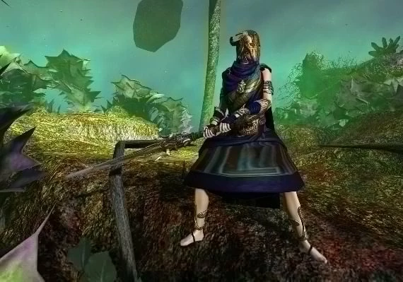 Age of Conan: Unchained - Hyborian Conqueror Collection DLC EN/DE/FR Global