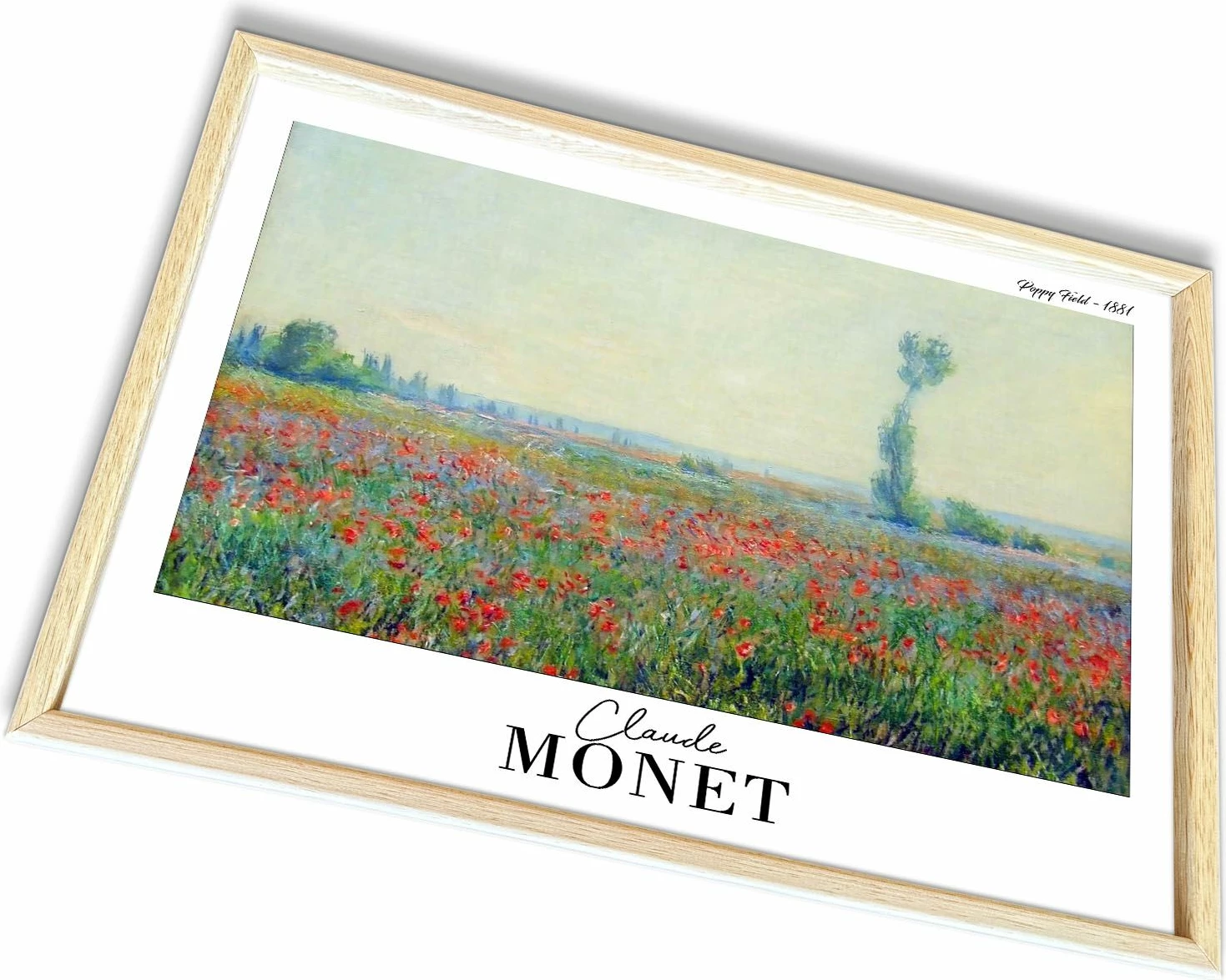 Pikturë dekorative me kornizë, Wallity, 4262AHSMONET-022