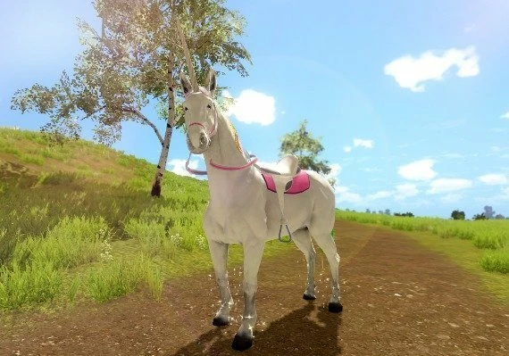 The Unicorn Princess Global