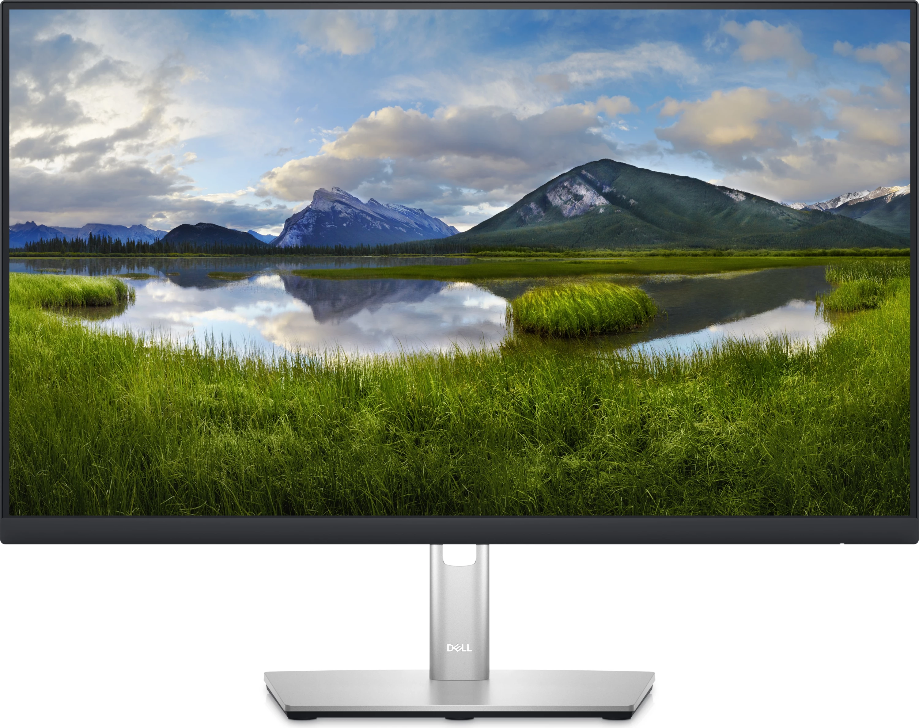 Monitor Dell P2423D, 23.8", QHD, 60Hz