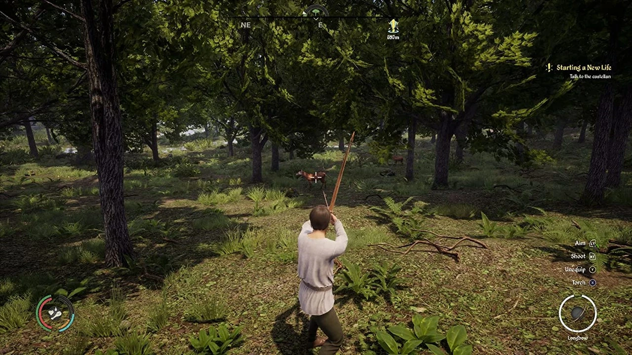 Lojë Merge Games Medieval Dynasty për PlayStation 5