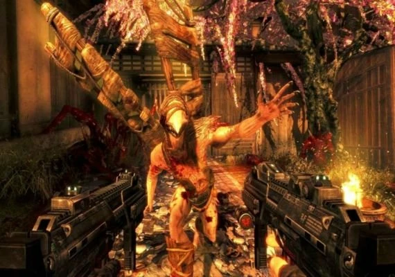 Shadow Warrior Special Edition EN Global