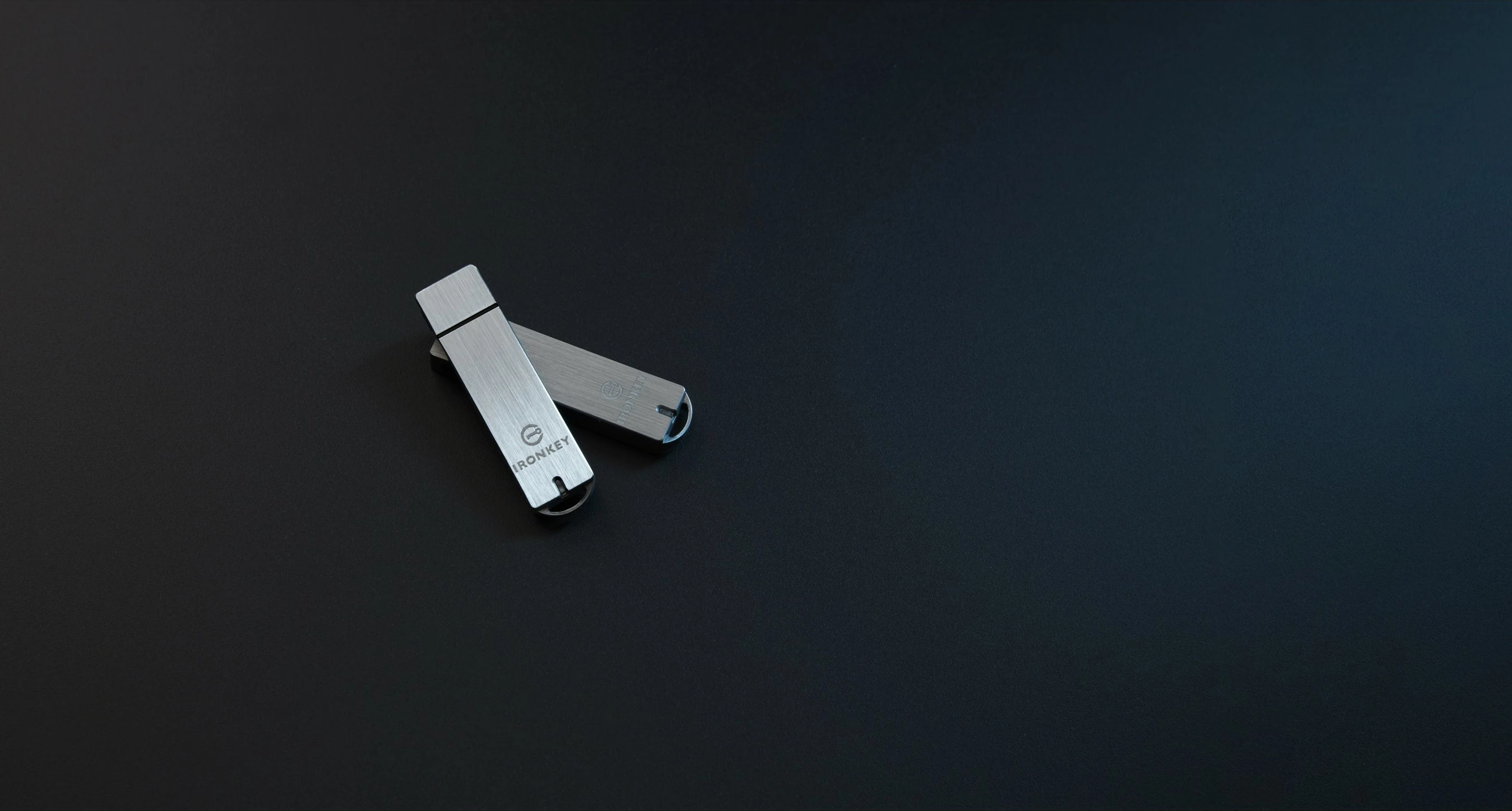 USB Kingston IronKey Enterpr S1000 64GB argjend