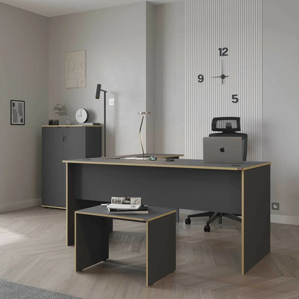 Tavolinë pune Hanah Home, Rms-320-Ax-1, anthracite dhe lis, 160x75x144cm