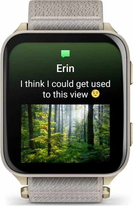 Smartwatch Garmin Venu X1, gri