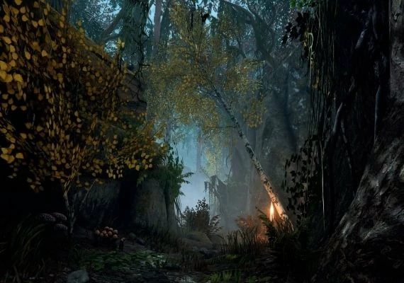 Warhammer: Vermintide 2 - Back to Ubersreik DLC EN/DE/FR/IT/PL/PT/RU/ZH Global