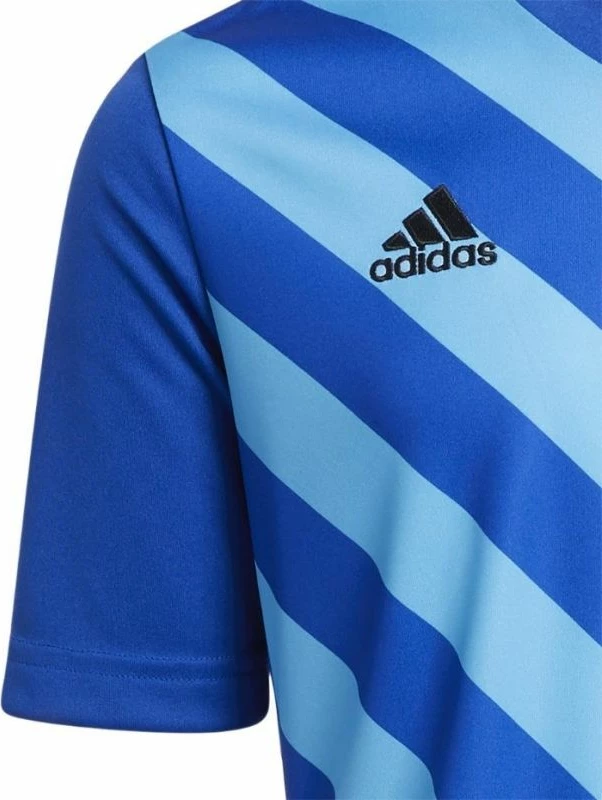Fanellë për fëmijë adidas Entrada 22 Graphic Jersey, blu [Madhësia: 116 cm]