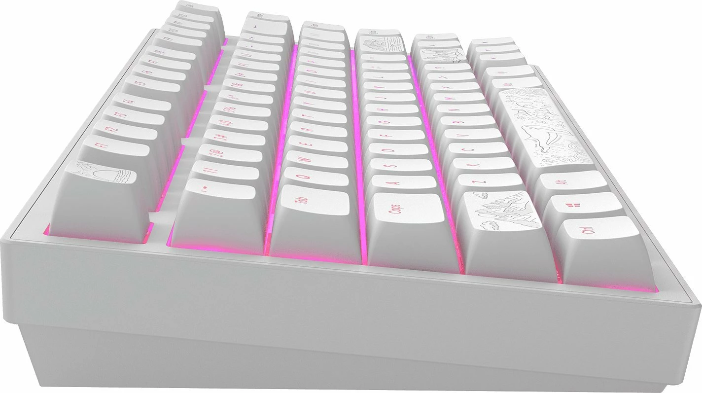 Tastierë mekanike gaming Dark Project ALU81A Terra Nostra, 80% TKL ANSI US, Hot-Swap, RGB, G3Ms Moonstone, USB me kabllo, e bardhë 3