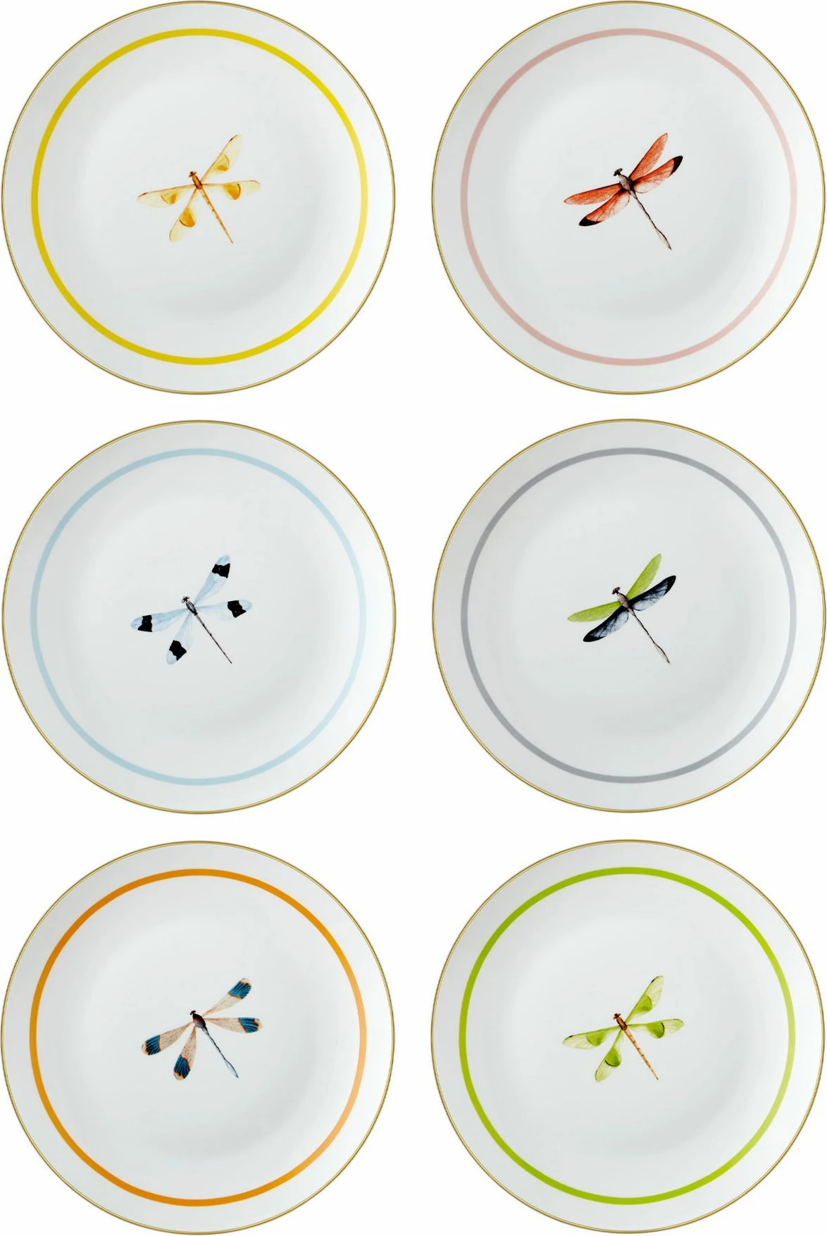 Set pjatash për ëmbëlsira, shumëngjyrëshe, Hermia, DNR0059, 6 copë