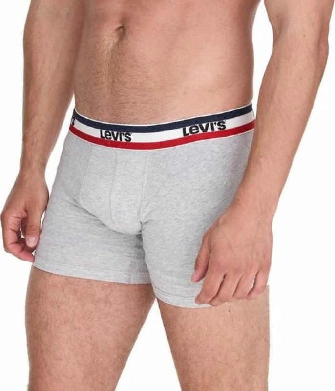 Të brendshme për meshkuj Levi's, multikolor