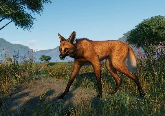 Planet Zoo - Grasslands Animal Pack DLC Global