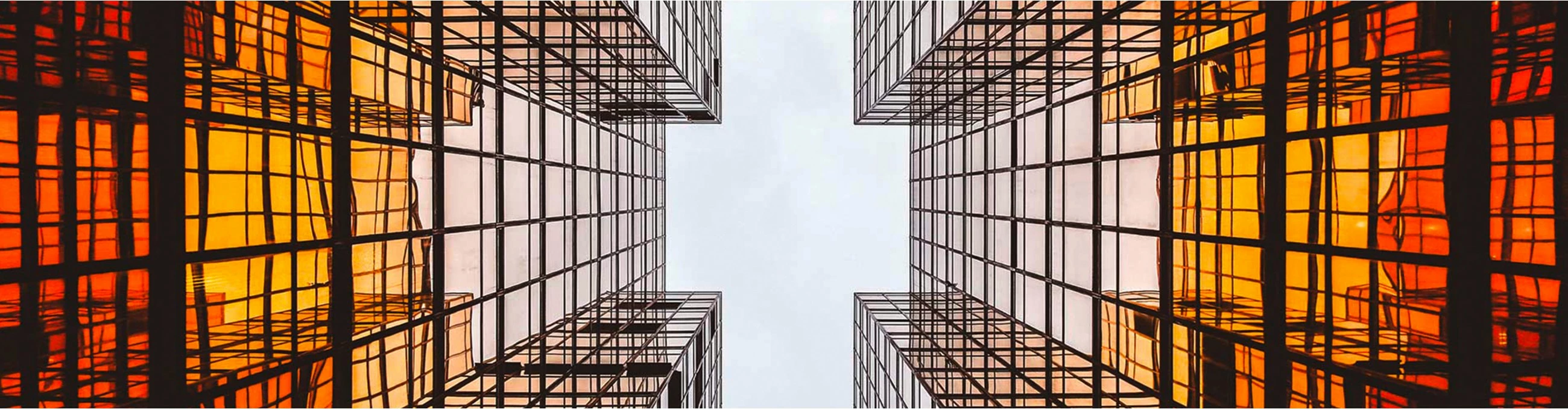 Monitor AOC X24P1GR 24 inç IPS, FHD, 16:10, gri