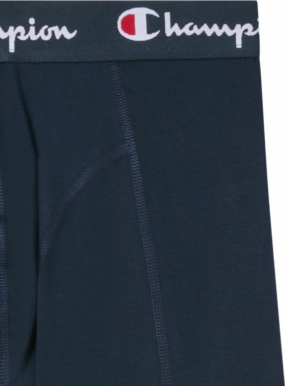 Të brendshme për meshkuj Champion, të kaltërta