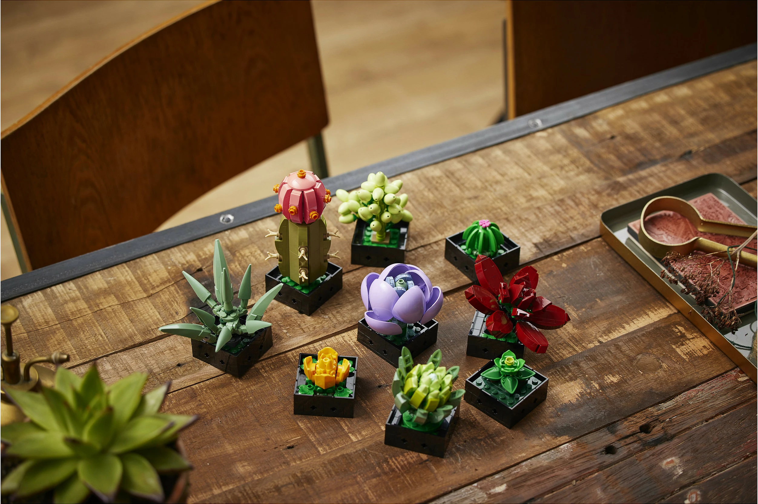 Set ndërtimi LEGO Botanicals Succulents 10309, 771 copë, 18+, multikolor