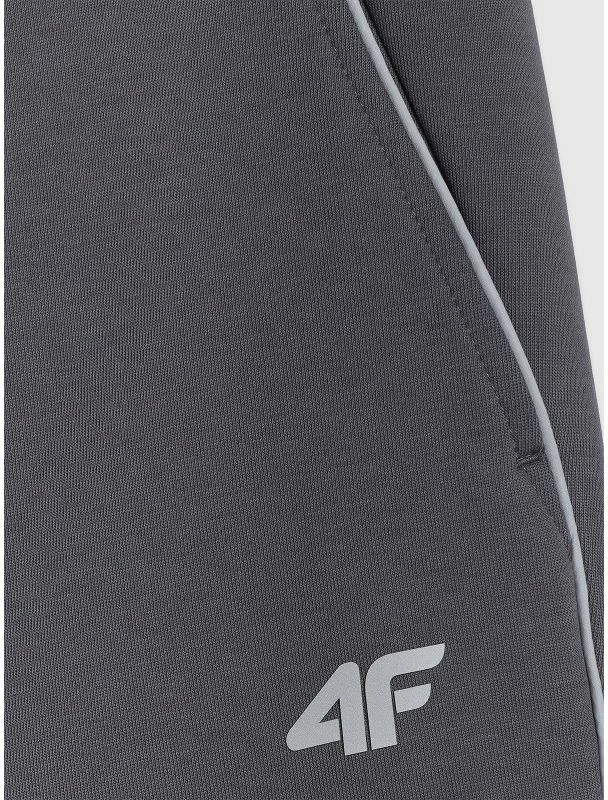 Pantallona sportive për meshkuj 4F