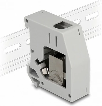 Adapter DIN-rail DeLOCK Keystone RJ45 në RJ45, Cat6A, flat, gri