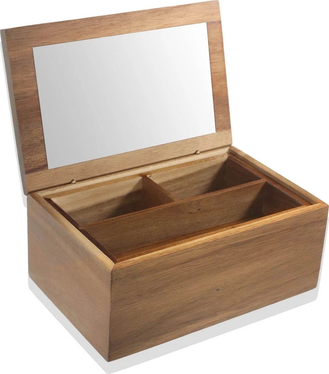 Organizues druri Hermia, NTR0031