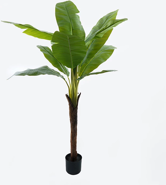 Bimë dekorative tropikale në vazo, Musa Inart, ngjyrë e gjelbër, 105x180cm