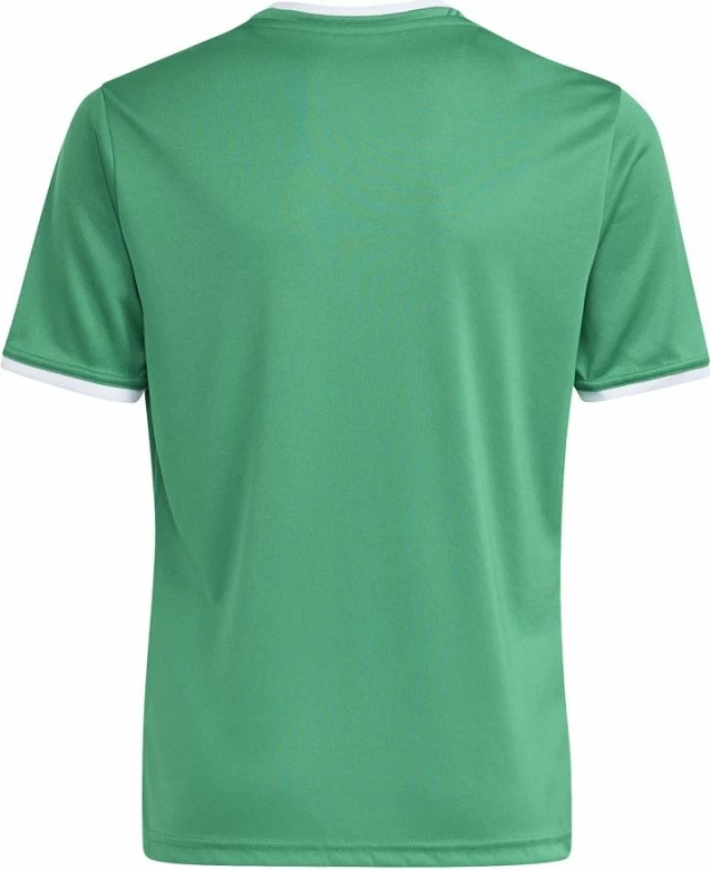 Maicë futbolli për fëmijë adidas Entrada 26 JZ2528, e gjelbër
