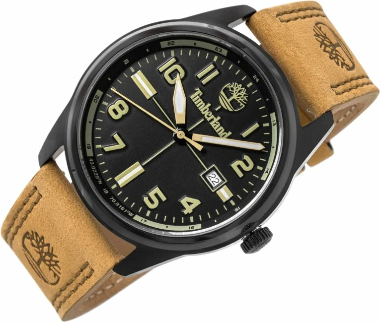 Orë dore meshkuj Timberland Northbridge TDWGB2230701, set me çantë