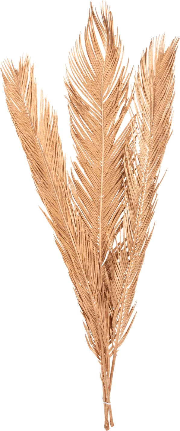 Set dekorativ me 3 gjethe të thara palme FH7958, ngjyrë ari, 110 cm