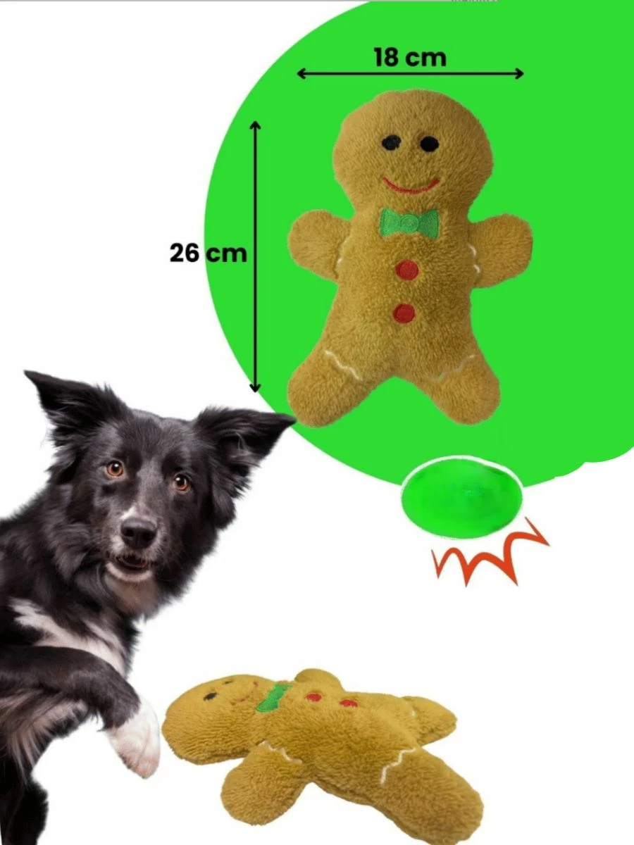 Lodra pelushi për qen, Paws & Whiskers, Havhav 1021, set me 2 copë