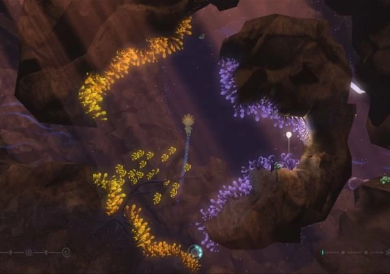 The UnderGarden EN/DE/FR Global