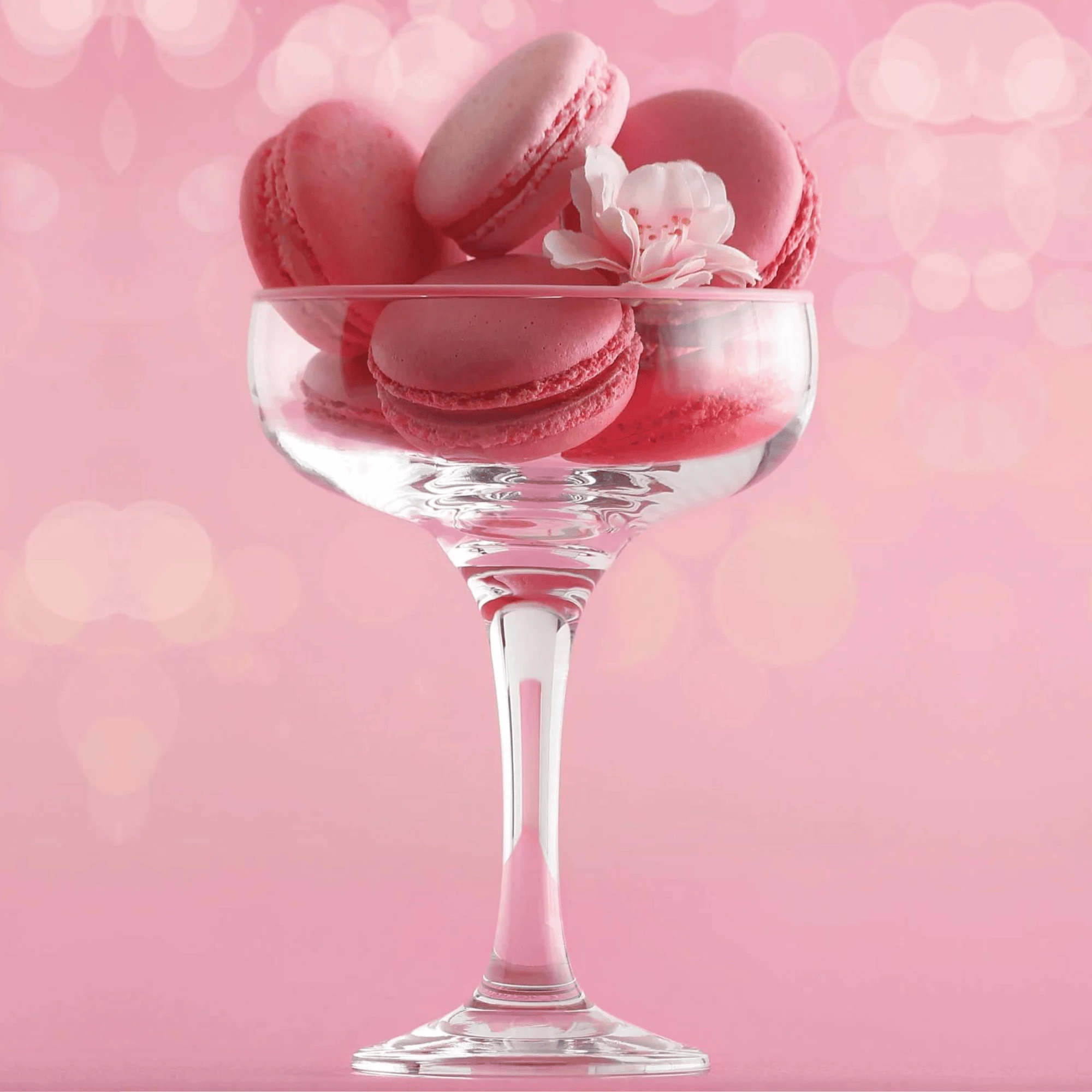 Gotë coupe shampanje LAV Sofia 235 ml, transparente, set 12 copë