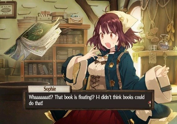 Atelier Sophie: The Alchemist of the Mysterious Book DX EN/JA/ZH/ZH Global