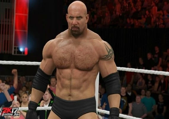 WWE 2k17 Deluxe Edition EN Global