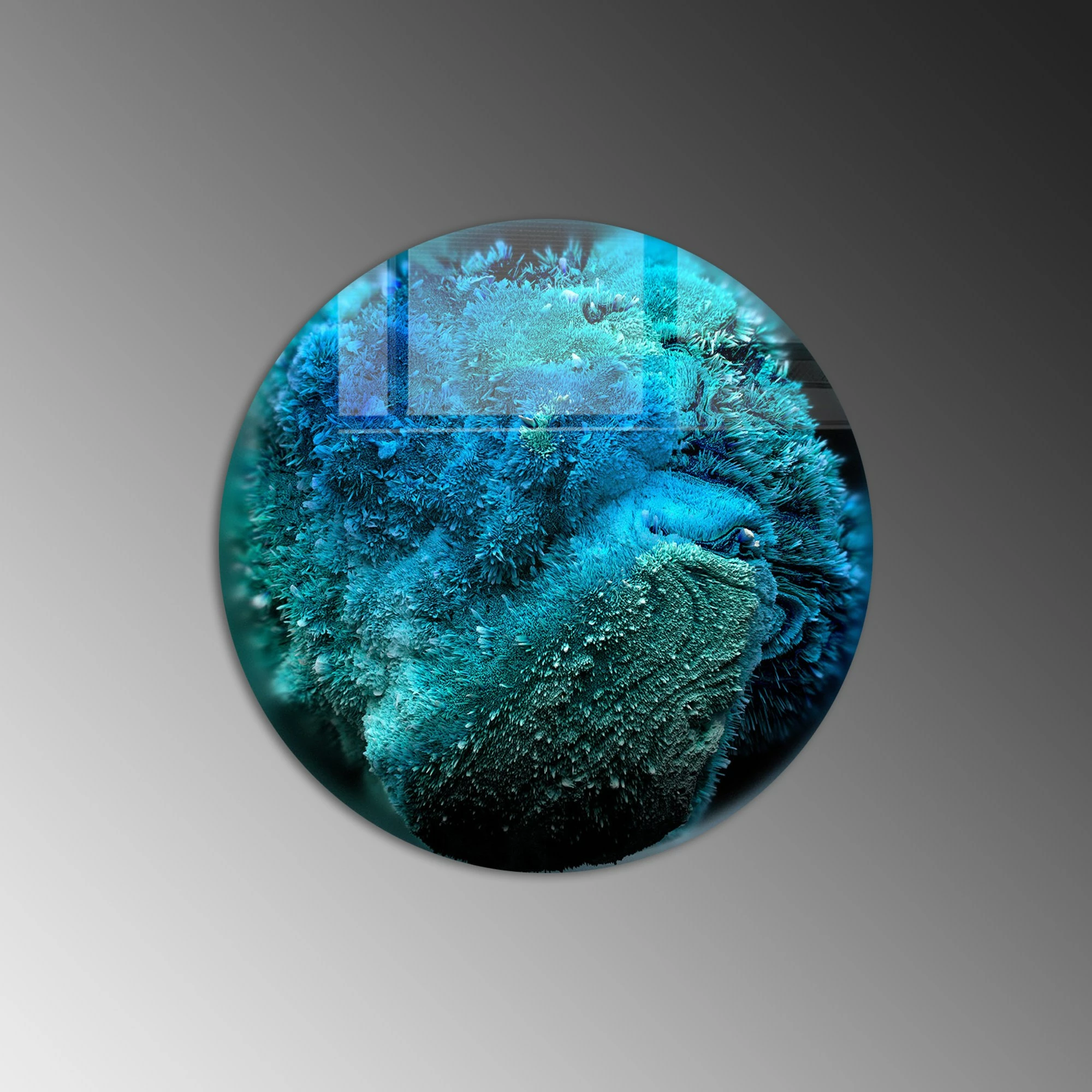 Pikturë dekorative prej xhami të temperuar, Wallity 2129, 60x60cm